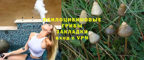 spice Алексин
