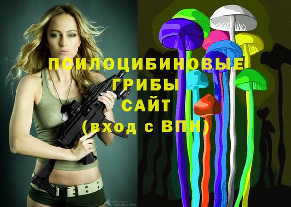 ешки Алексеевка